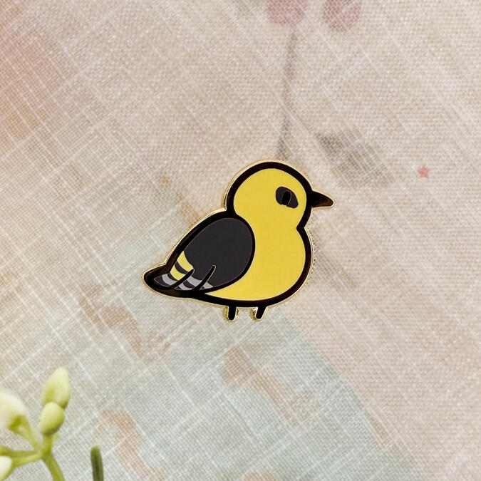 Golden Oriole