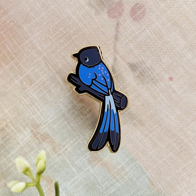 Seychelles Paradise Flycatcher